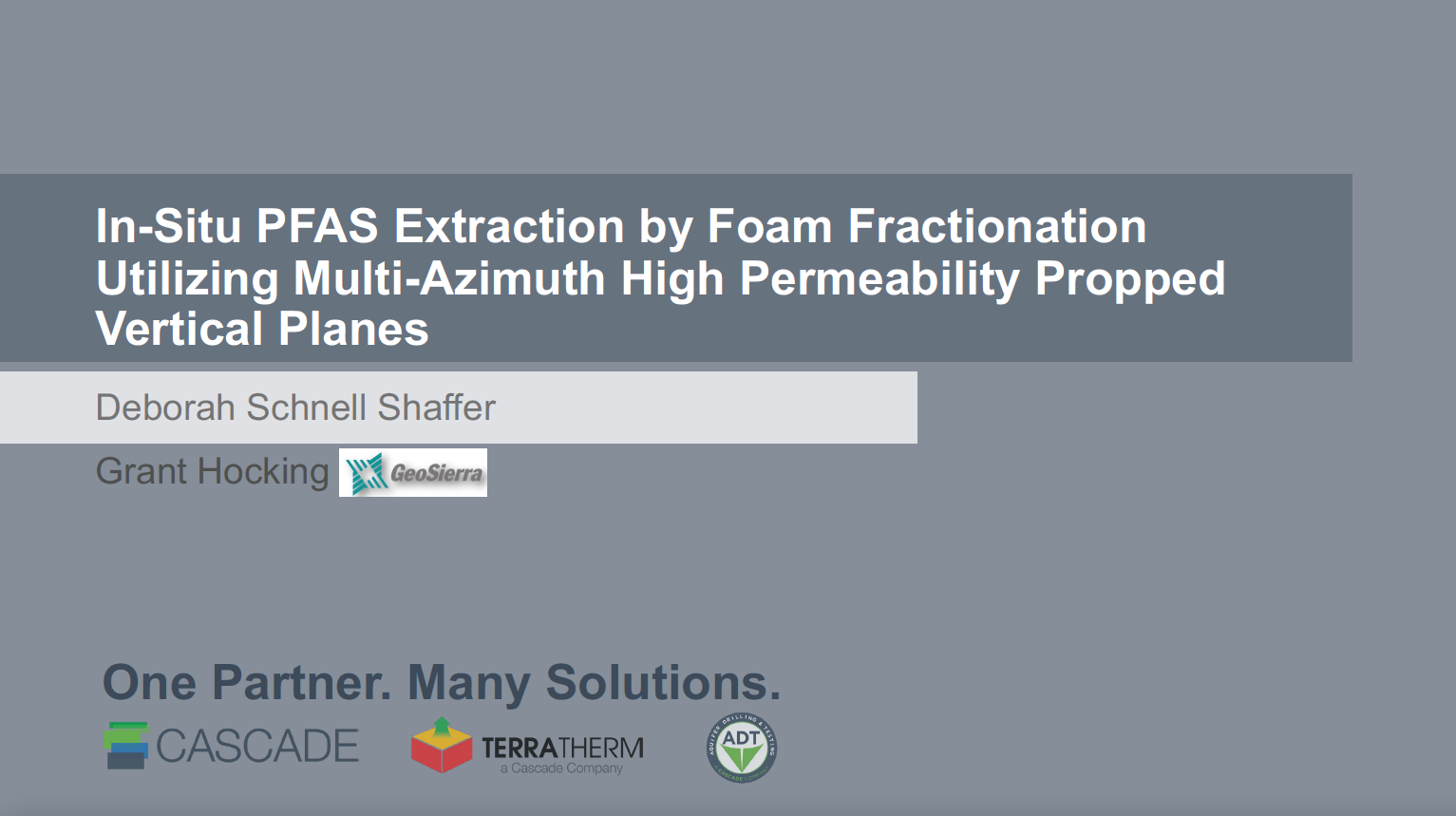 In Situ PFAS Extraction by Foam Fractionation Utilizing Multi-Azimuth High Permeability Propped Vertical Planes