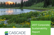 2017 Sustainability Report