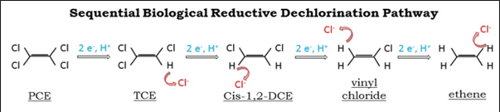 Sequential biological remediation