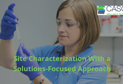 Site Characterization with a Solutions - Focused Approach