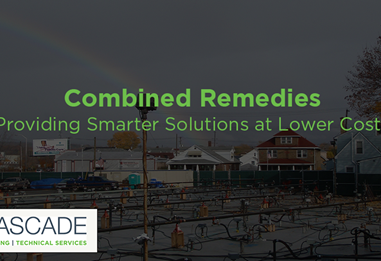 Combined Remedies – Providing Smarter Solutions at Lower Cost