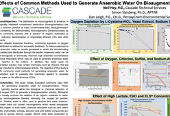 Battelle 2018 Poster: Effects of Common Methods Used to Generate Anaerobic Water on Bioaugmentation Cultures Containing Dehalococcoides
