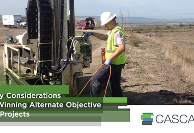 2 Key Considerations for Winning Alternate Objective Site Projects