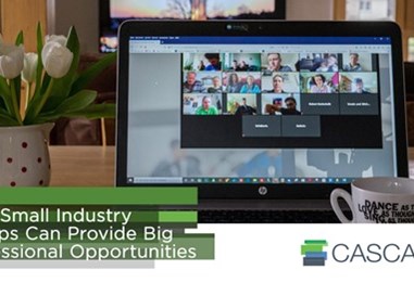 How Small Industry Groups Can Provide Big Professional Opportunities