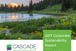 2017 Sustainability Report