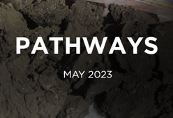 A banner for our pathways newsletter