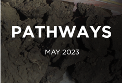 A banner for our pathways newsletter