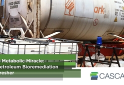 The Metabolic Miracle: A Petroleum Bioremediation Refresher