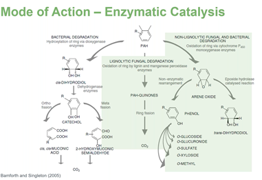 Encapsulated Enzymes: Crossing the Chasm for Remediation Chemistries Targeting TPH, PCBs and PAHs
