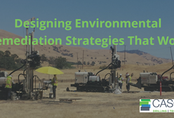 Designing Environmental Remediation Strategies That Work