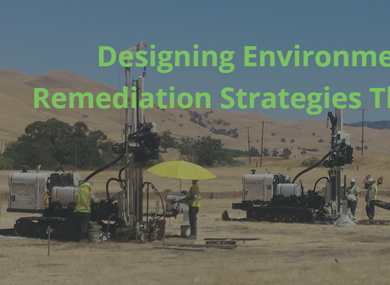 Designing Environmental Remediation Strategies That Work