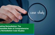 Navigating Remediation: The Indispensable Role of Comprehensive In Situ Remediation Case Studies 